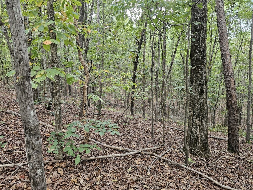 Picture 24