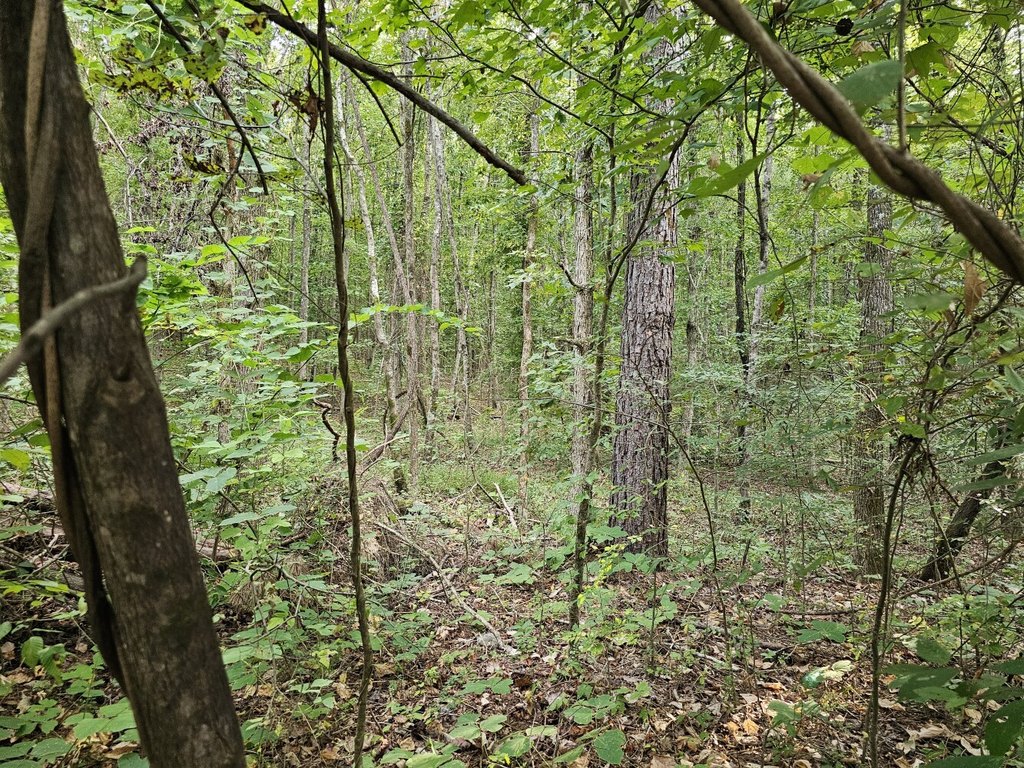 Picture 13