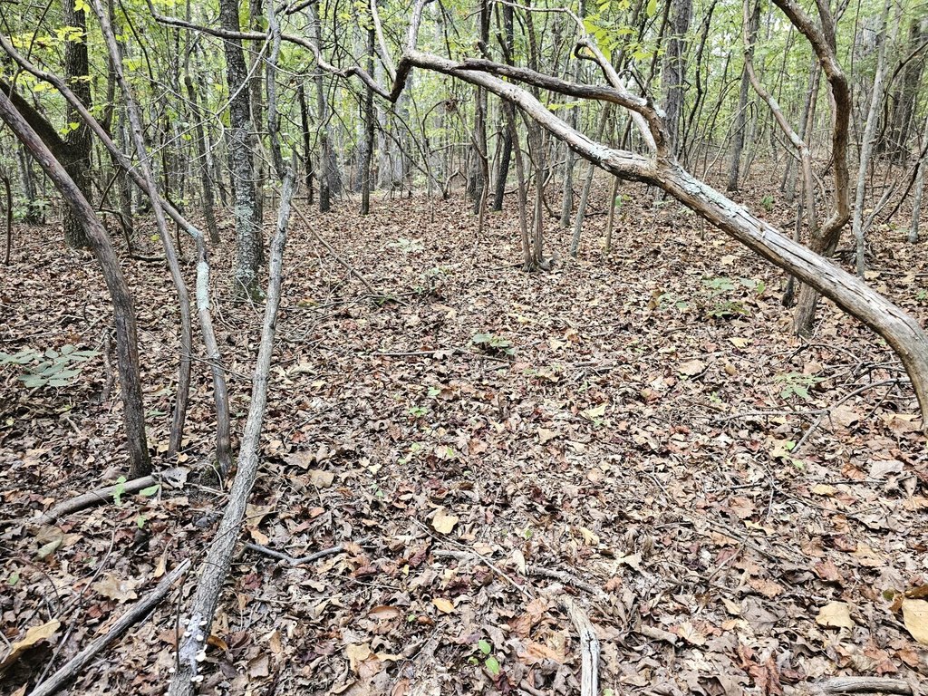 Picture 30