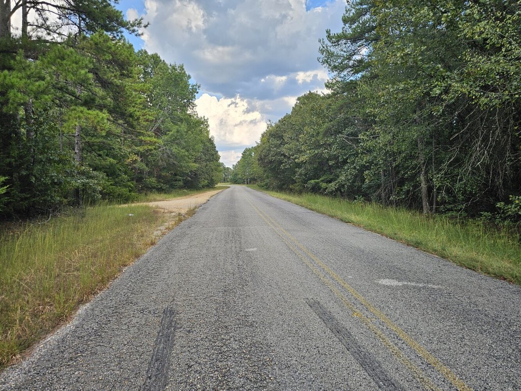 Picture 21
