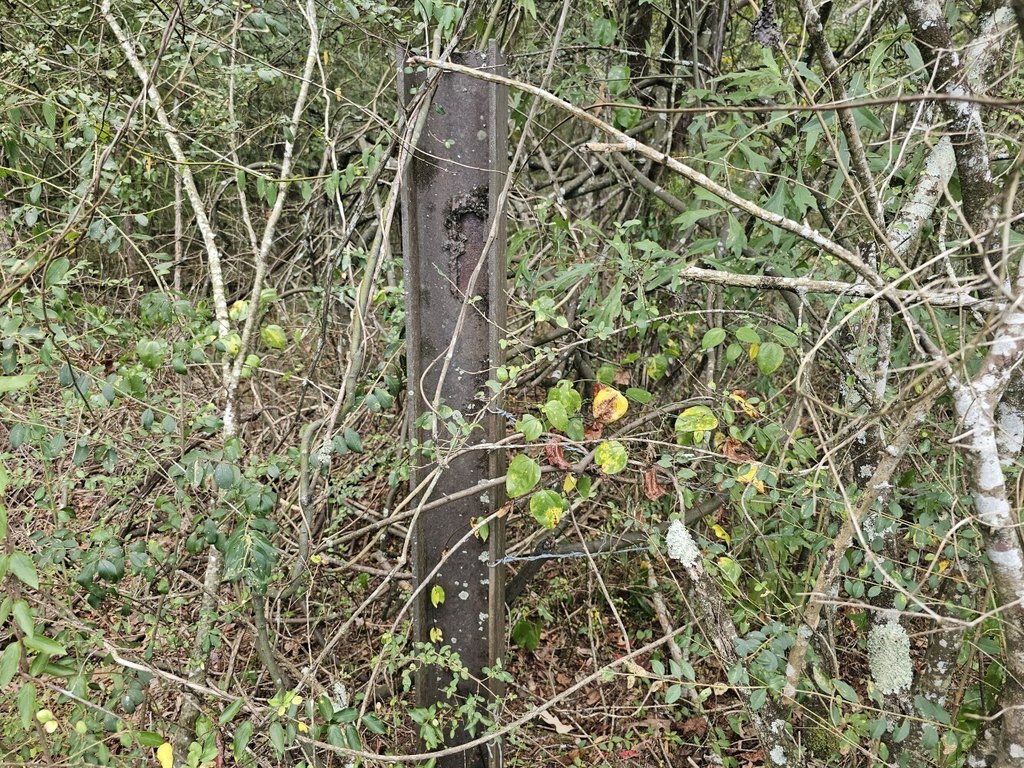 Picture 43