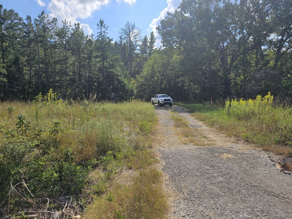 Picture 17