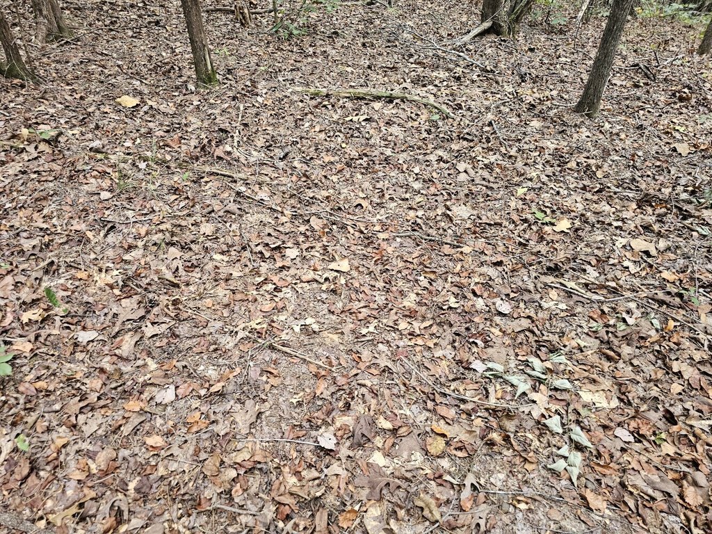 Picture 34