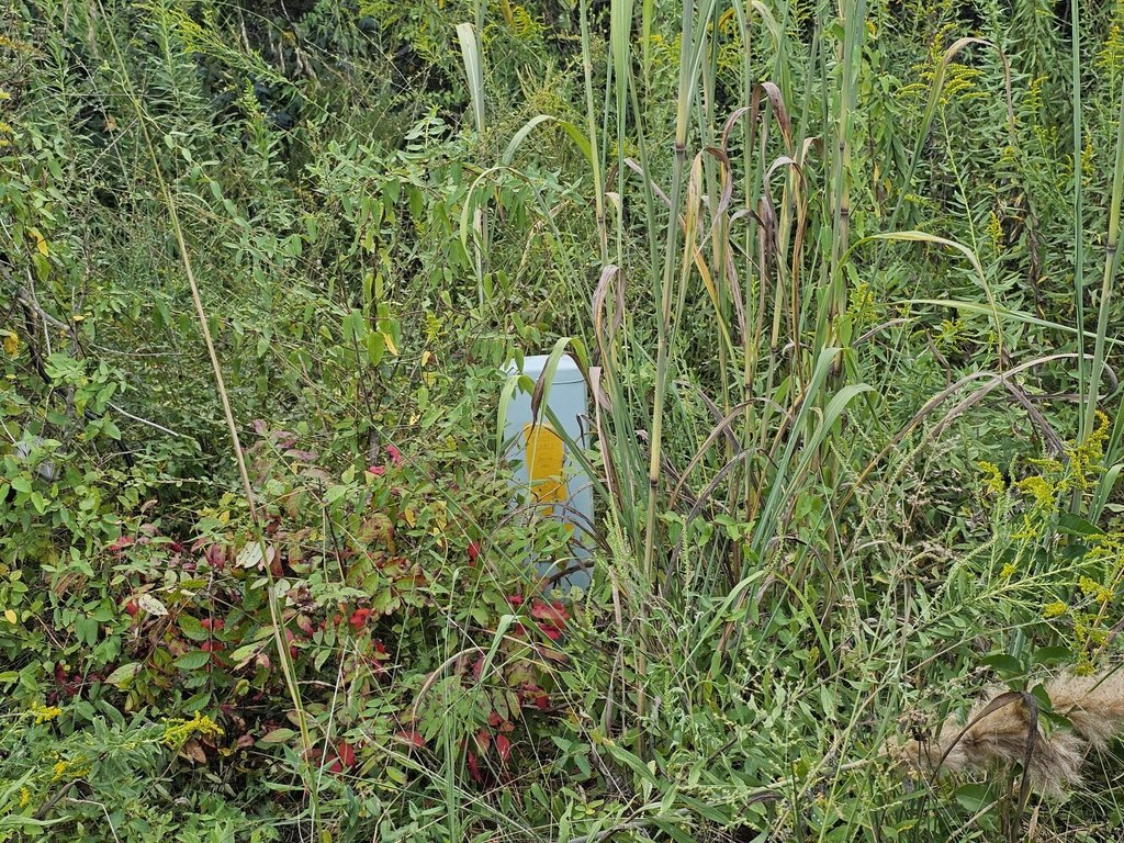 Picture 44