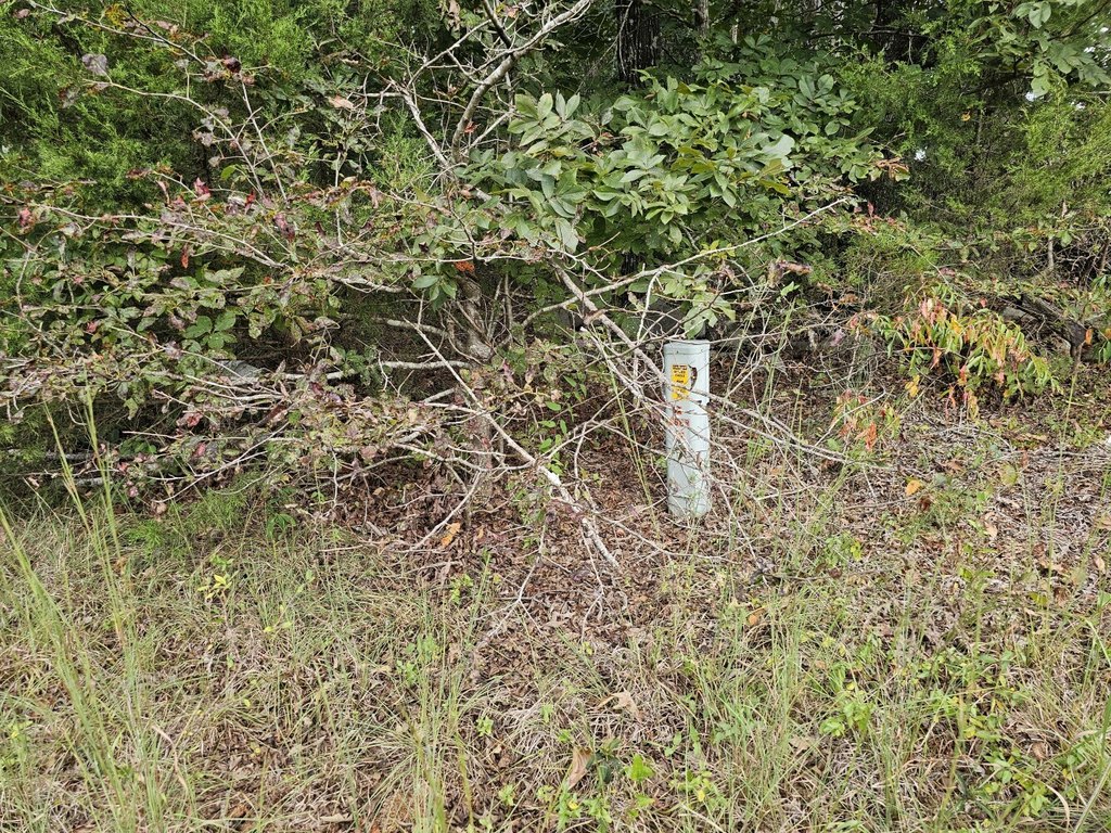 Picture 19
