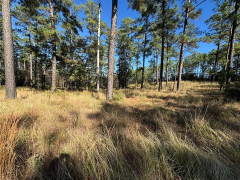 Brookeland, TX Level Lot