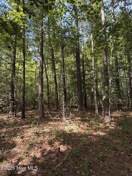 Land, Carthage, NC