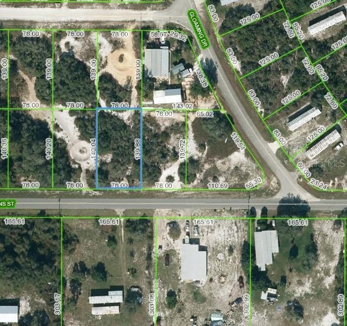 Residential Land in Lake Placid