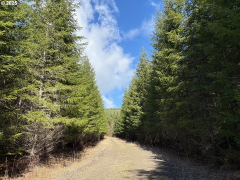 Springfield Land with Timber