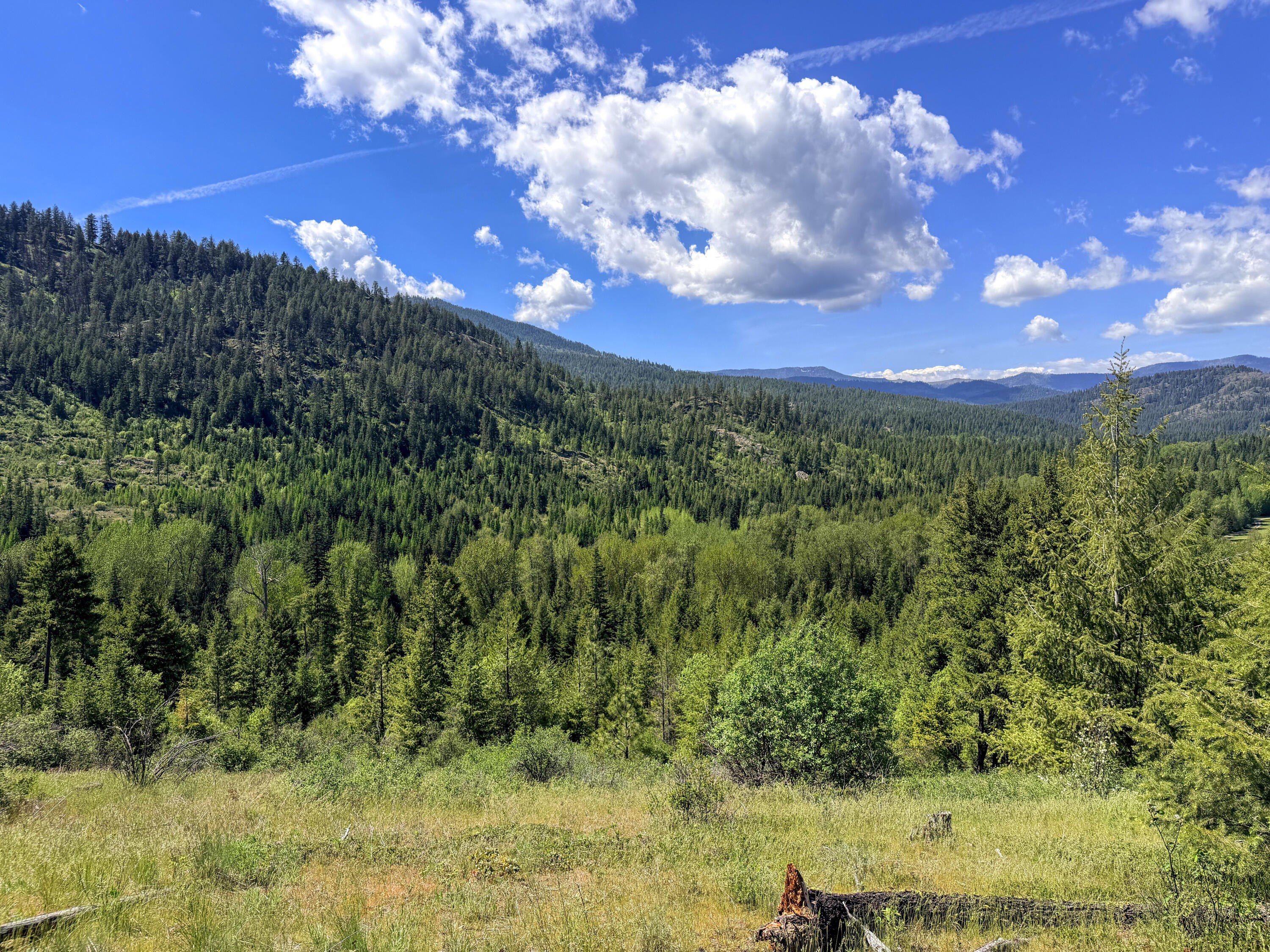234 Acres Recreational Land Opportunity