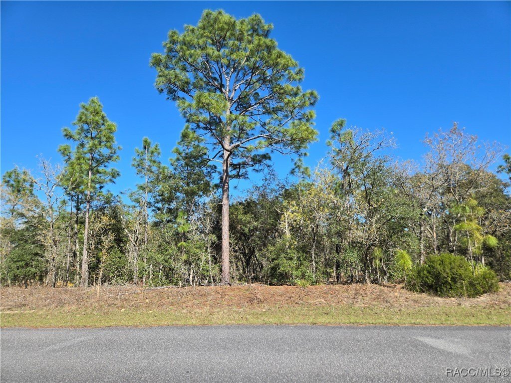 Citrus Springs Land For Sale