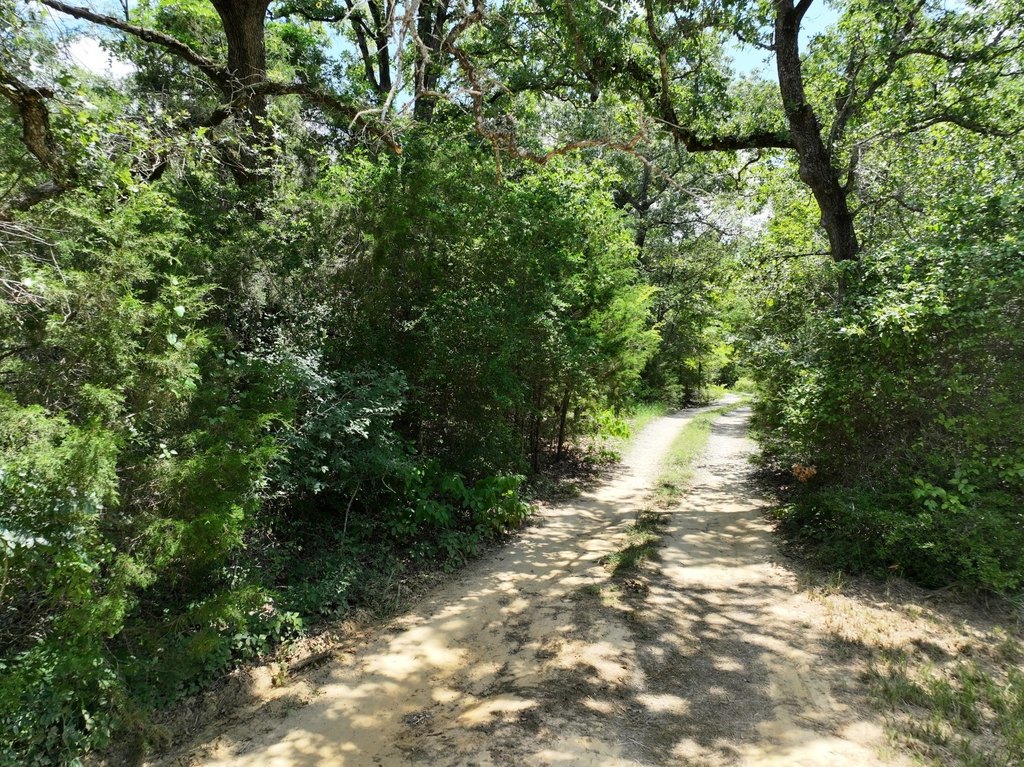 Picture 15
