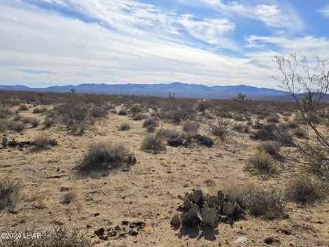Expansive Yucca Land Parcel