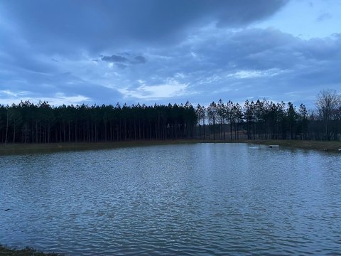 Residential Land in Jasper Highlands