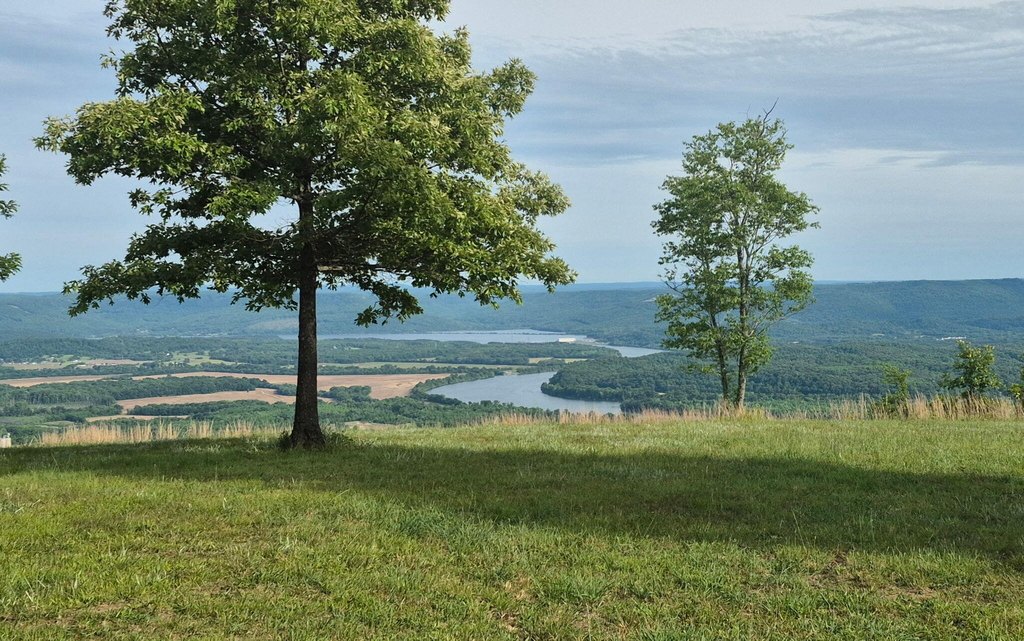 Picture 43