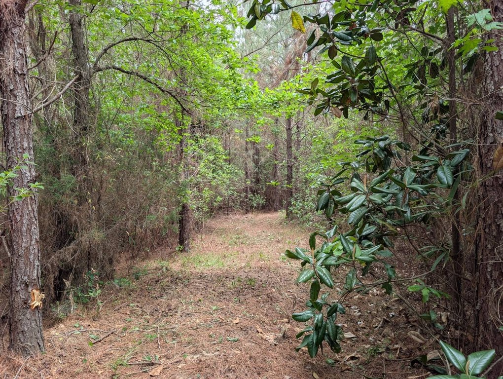 Picture 48