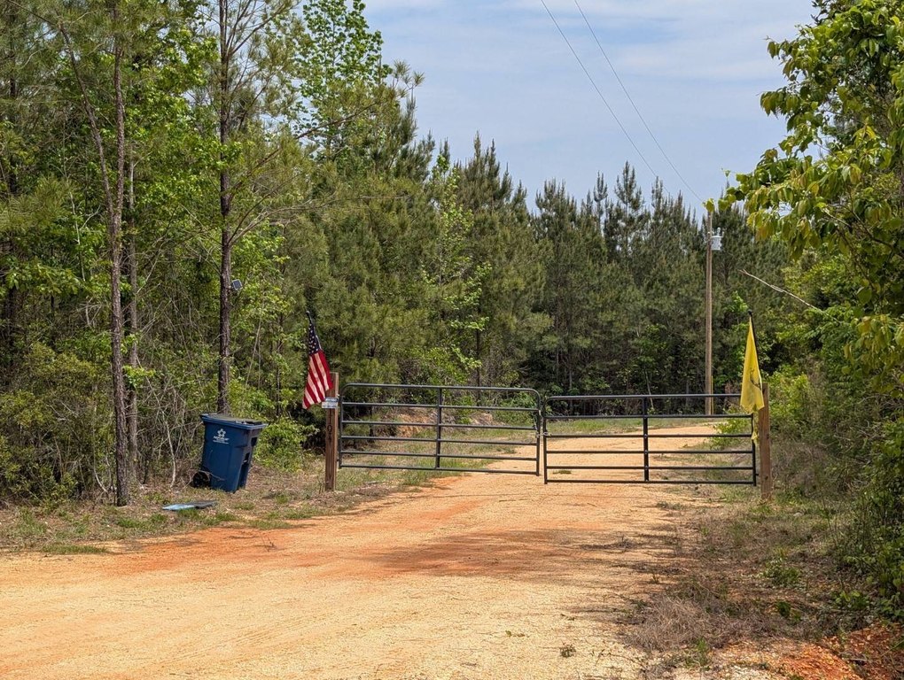 Picture 62