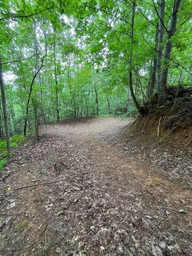 Residential Land in Tarheel Community