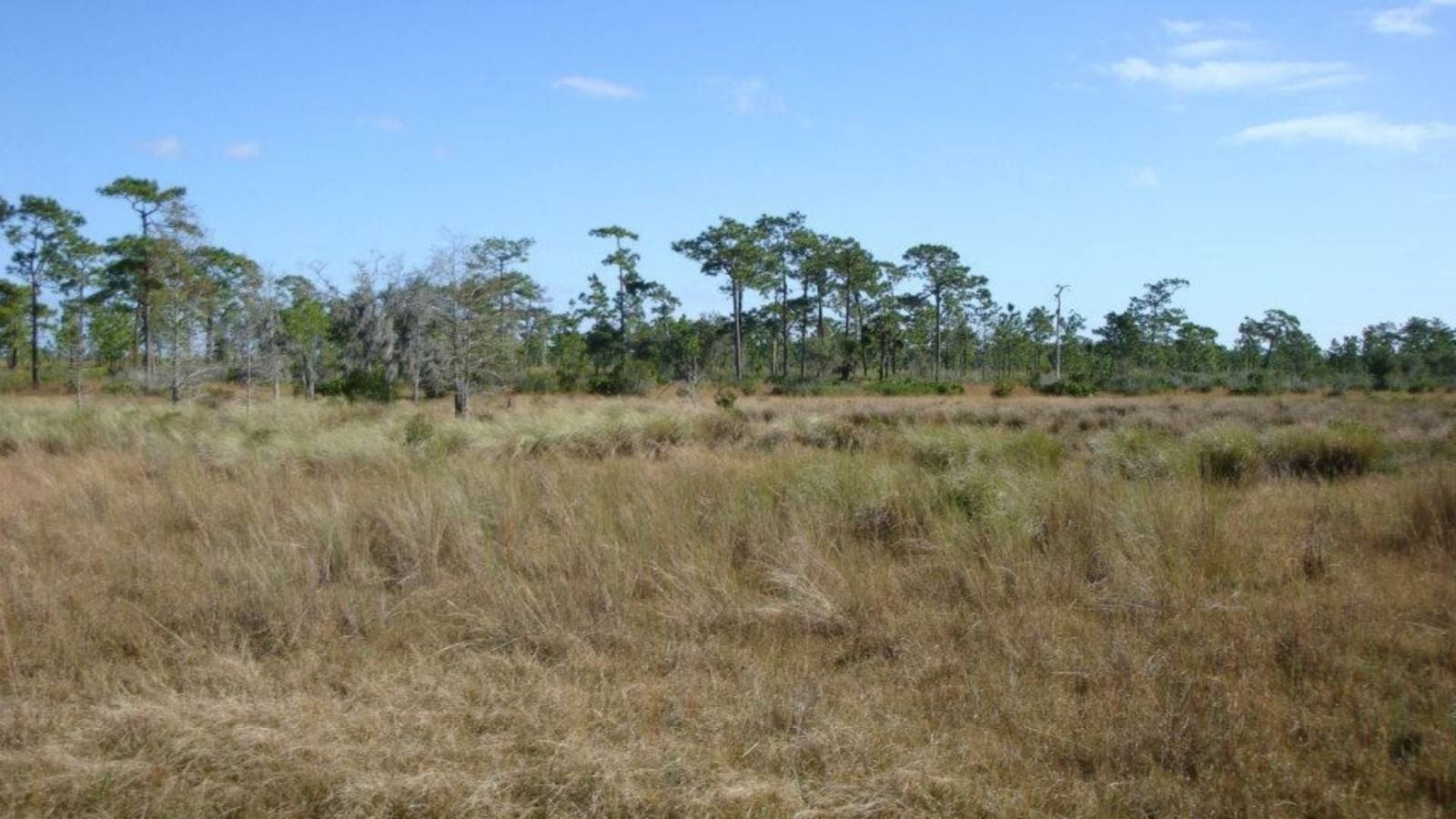 Recreational Land Near River Ranch