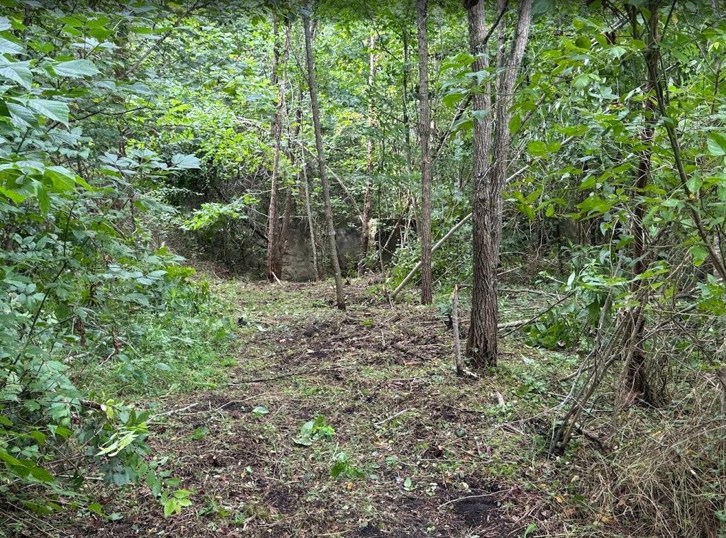 Picture 7