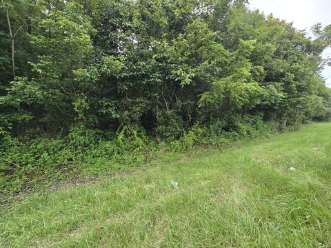 Zoned Residential Wooded Land