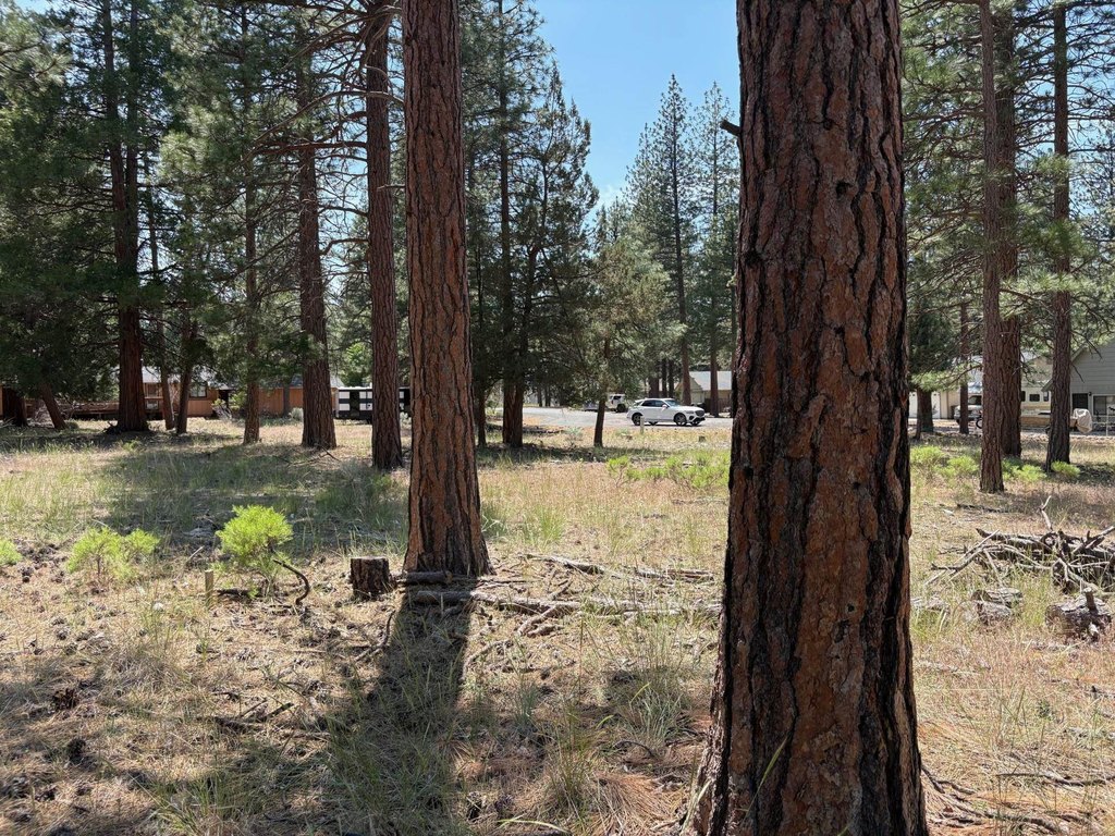 Picture 13