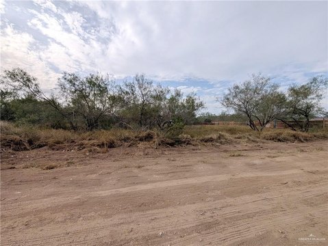 Edinburg Land For Sale