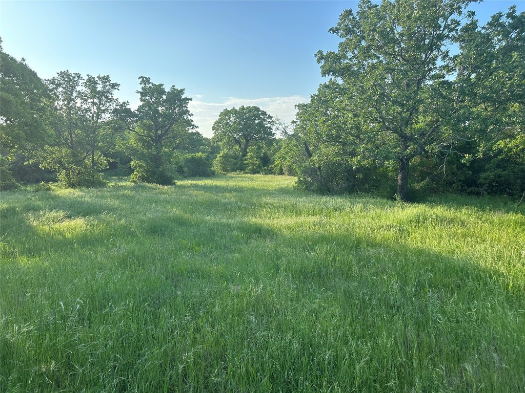 Picture 19