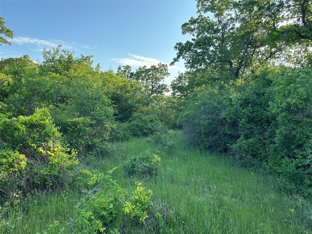 Picture 17