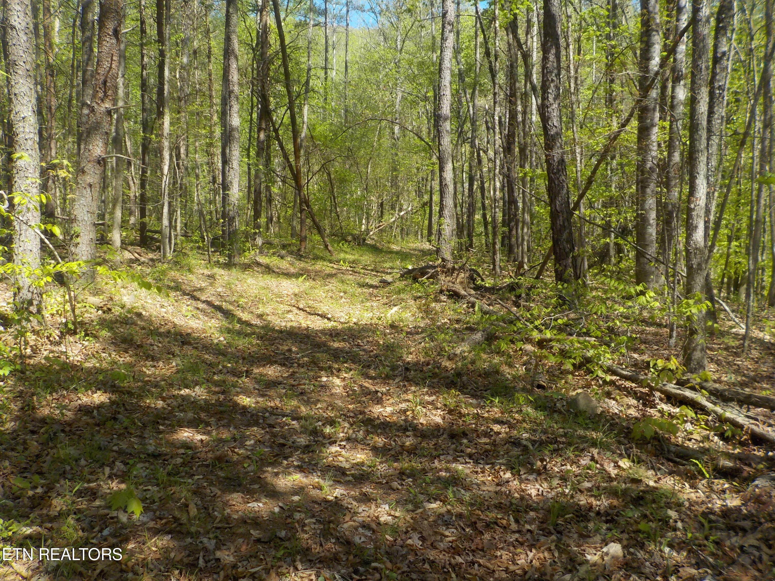 Unrestricted Land with Private Lake