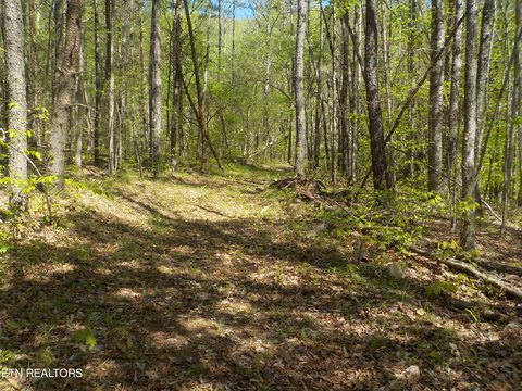 Grainger County Land For Sale