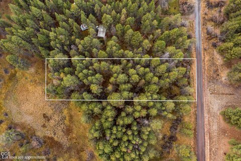 Wooded Recreation Land