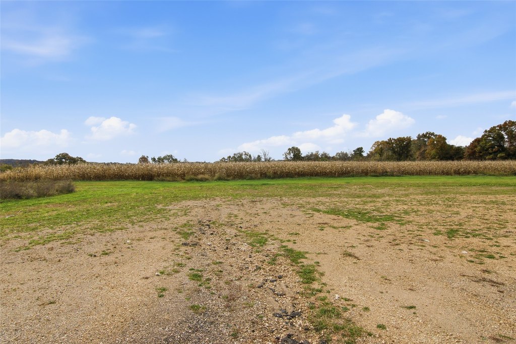 Picture 28