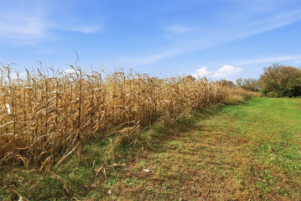 Picture 29
