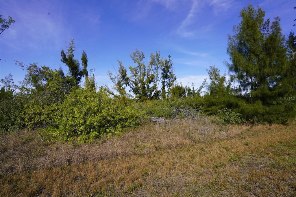 Picture 3