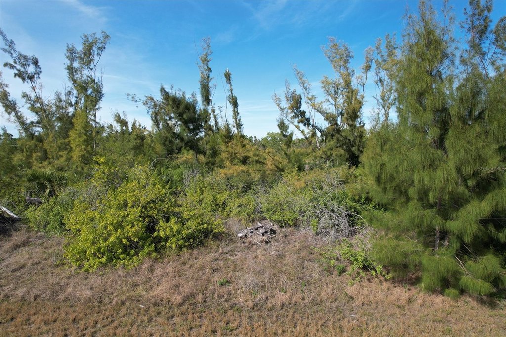 Picture 2