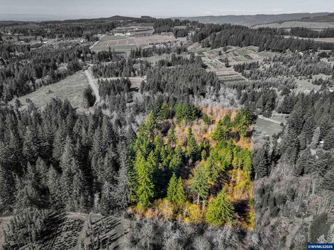 Bare Land, Silverton, OR