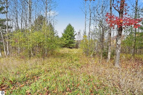 Vacant Lot/Land, Hale, MI