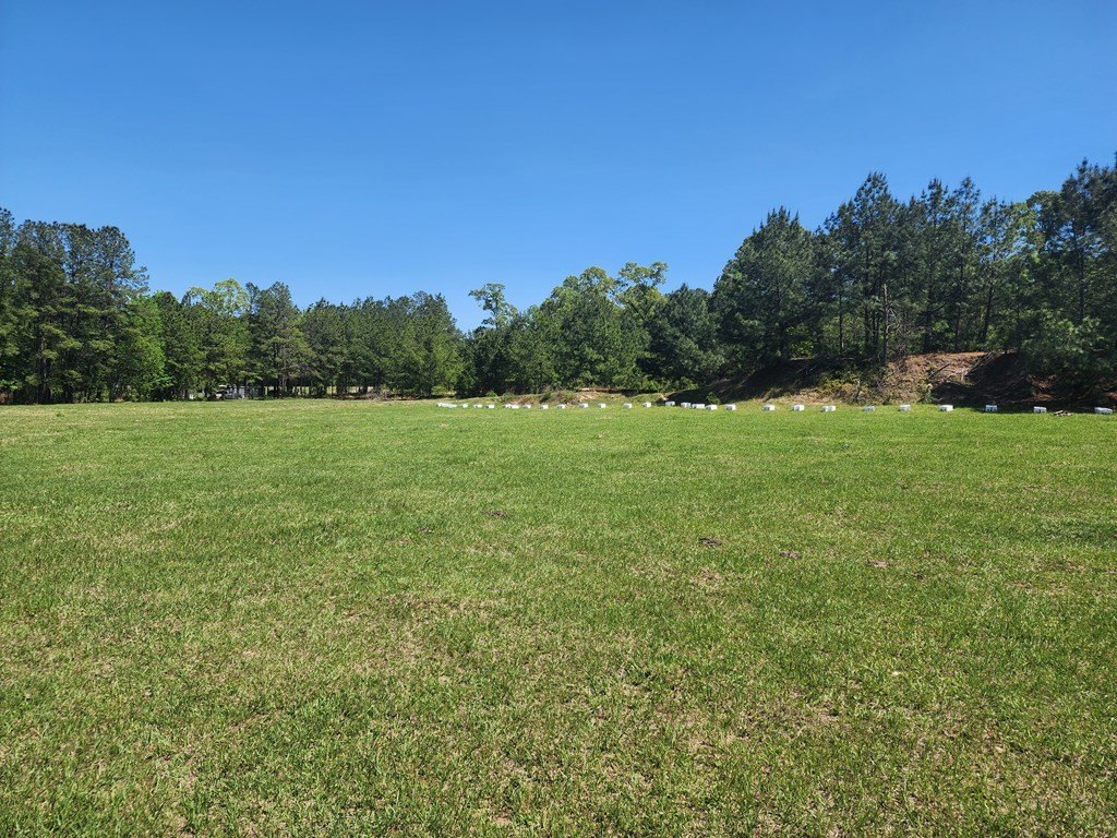 Picture 6