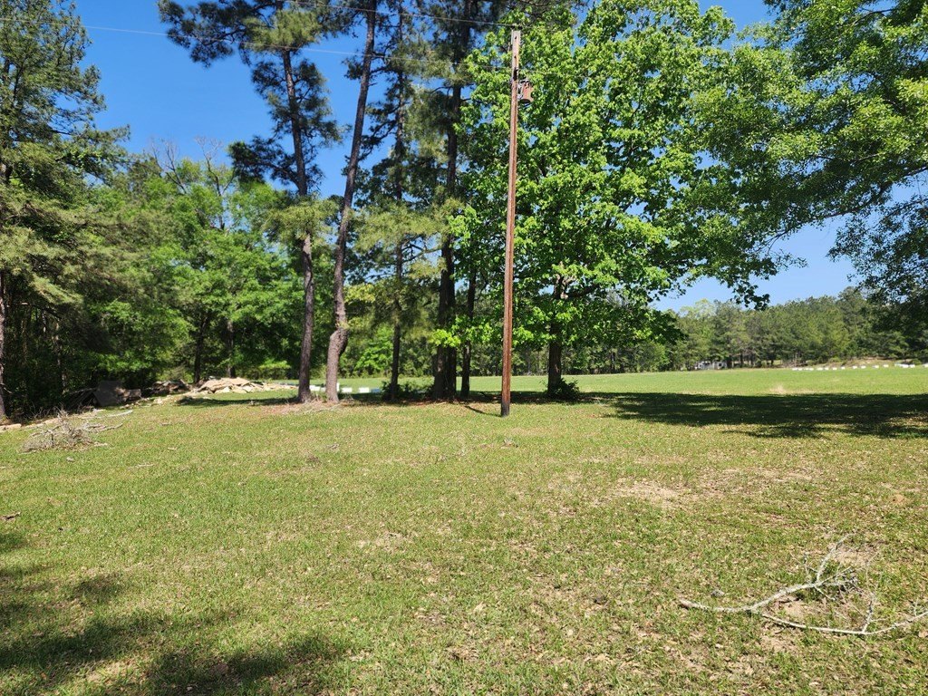 Picture 16