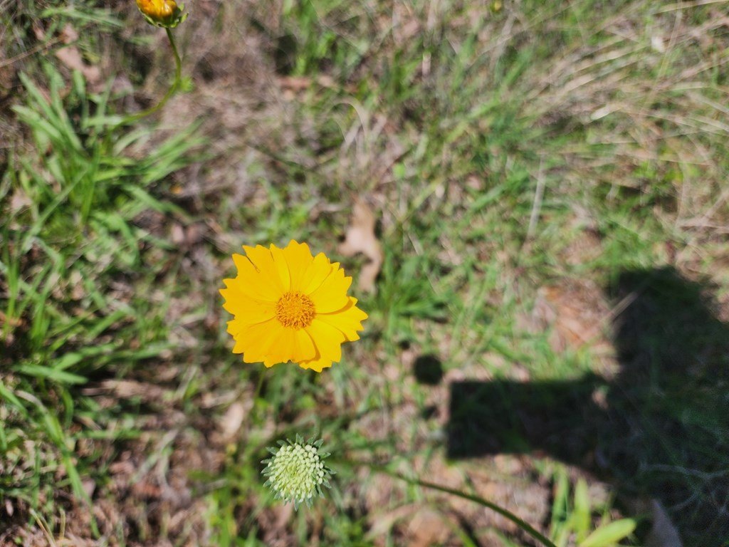 Picture 21