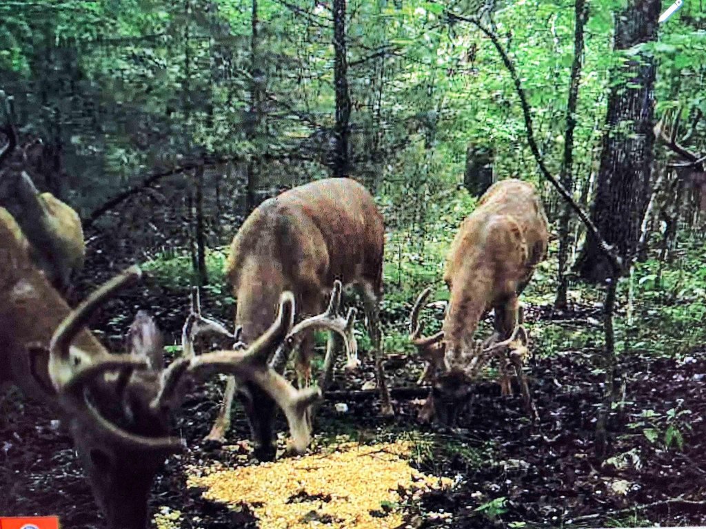 Picture 16