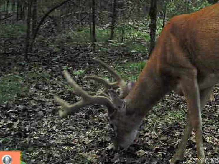 Picture 18