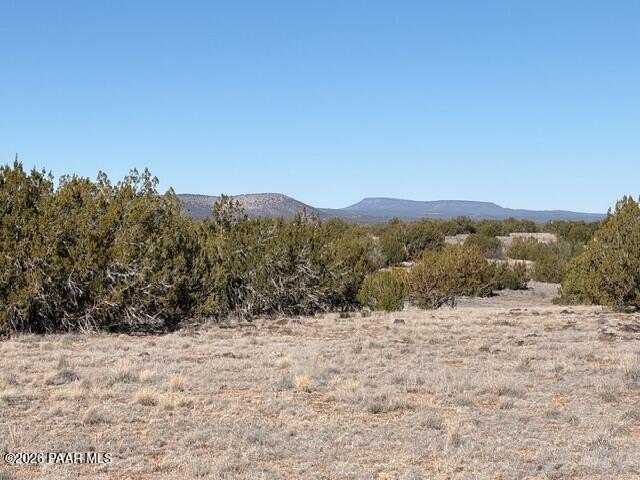 Beautiful Land Parcel in Seligman