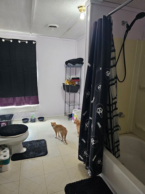 Picture 25
