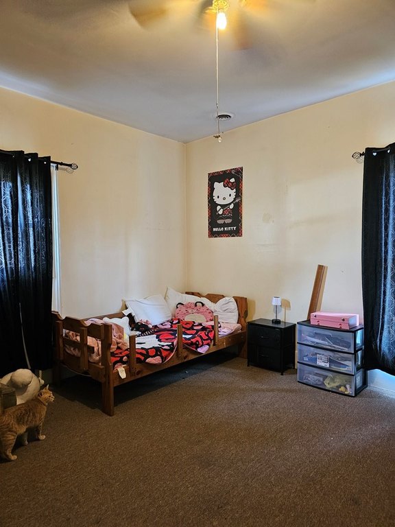 Picture 24