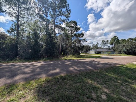 Land, CITRUS SPRINGS, FL
