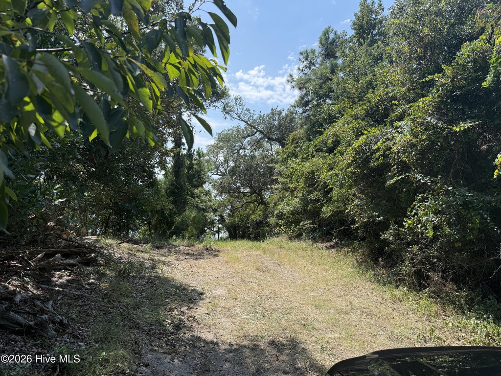 Picture 4
