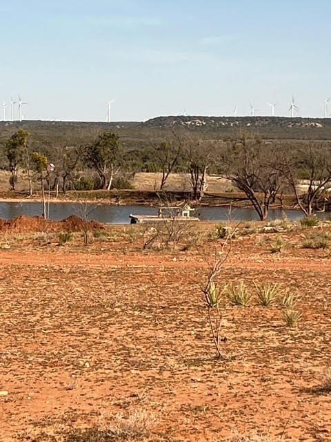 Picture 39