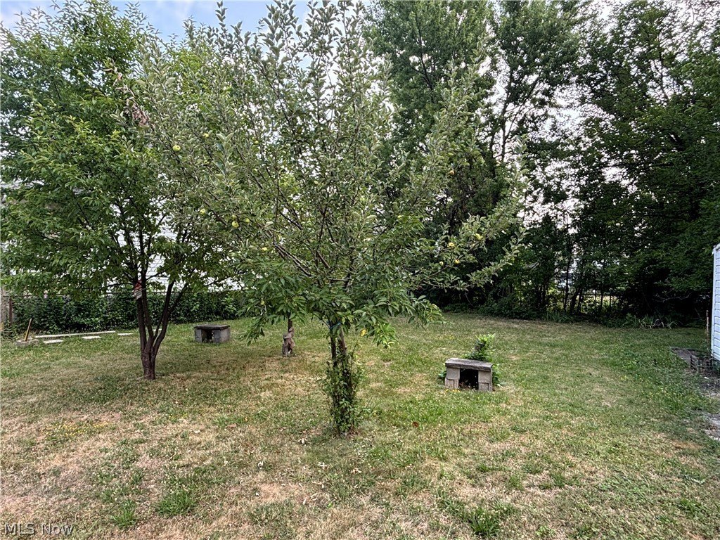 Picture 6